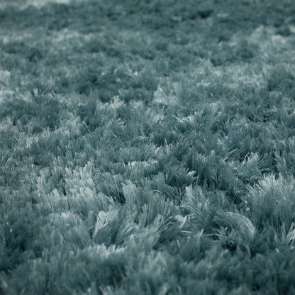 Billow Shag Sea